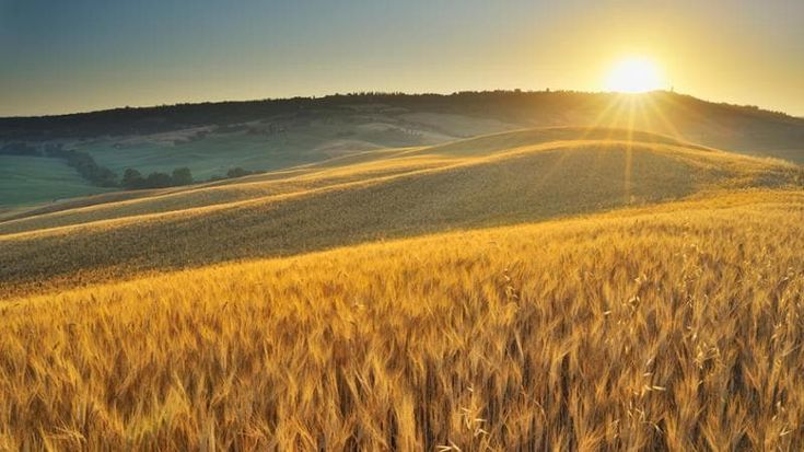 Ipsos: cresce l’attenzione della GenZ per lo “stile di vita rigenerante”