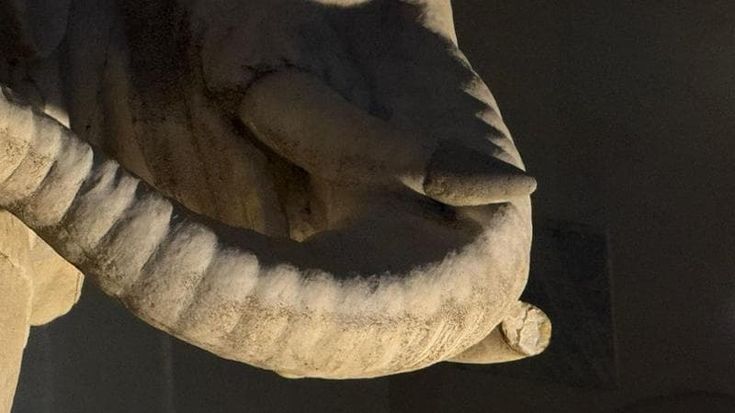 Sfregiato l’elefantino della Minerva: staccata una zanna. Giuli: “Indegno atto di barbarie”