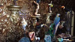 'Wunderkammer - Le stanze della meraviglia', collezioni private di oggetti e curiosità