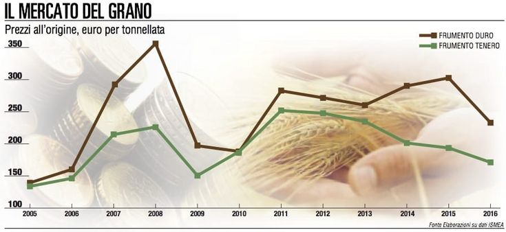 Il patto “Grano Armando”: modello virtuoso di filiera