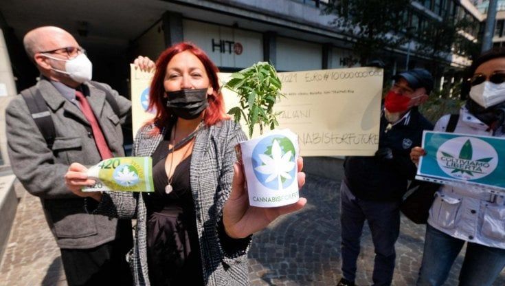 Genova, una giornata ai Giardini Luzzati "contro i pregiudizi sulla Cannabis"