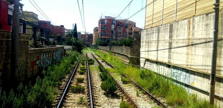 Cumana, prati e sterpaglie sui binari