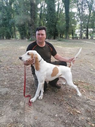 A Palinuro il raduno nazionale dei segugi, Toby è il vincitore 