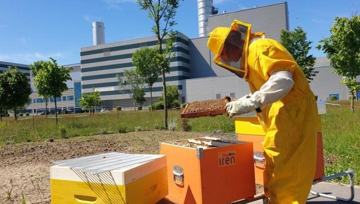 Torino, Iren Energia "assume" 120mila api per controllare la qualità dell'ambiente attorno alla sua centrale