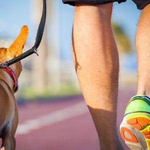 Passeggiate della salute e lezioni a scuola per il Festival della prevenzione a Frosinone