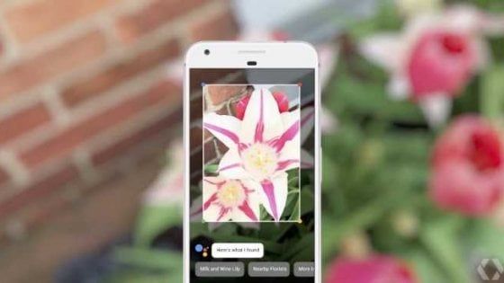 Google Lens arriva dentro Foto per tutti i dispositivi Android