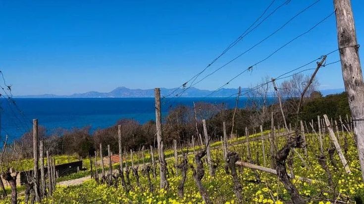 Agriturismo, segreti da scoprire tra verde e mare