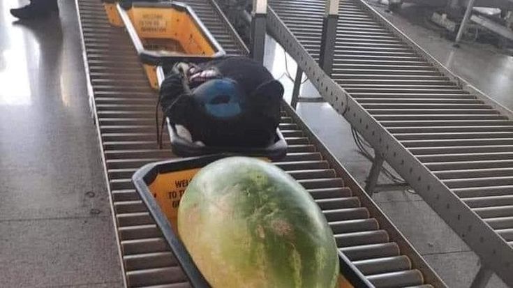 “C’è un’anguria ai controlli dell'aeroporto di Bari”, ma la foto è di Catania: lo scivolone social di Aeroporti di Puglia