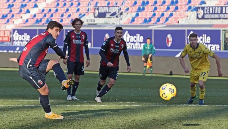 Bologna-Verona 1-0: Orsolini stende l'Hellas, Mihajlovic ritrova i tre punti