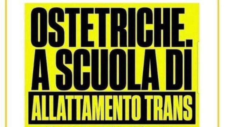 Bioritmi: quelle ostetriche a scuola di gravidanza trans