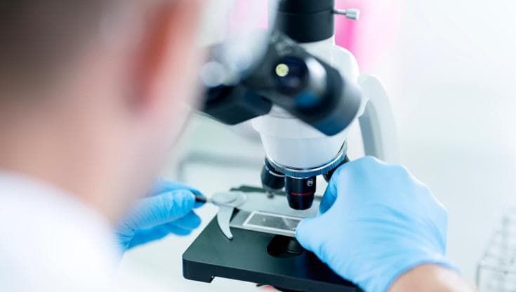 I farmaci anti-obesità potrebbero ridurre il rischio di metastasi in quattro tumori