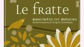 Il bianchello del Metauro