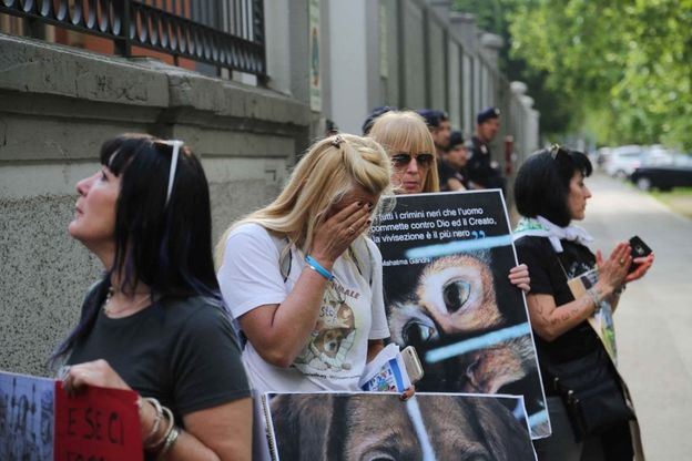 Animalisti in corteo a Milano, lacrime al presidio antivivisezione