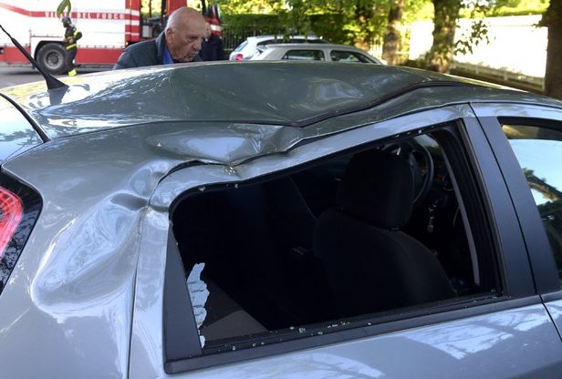 Parma, ancora piante crollate: auto danneggiate- Foto 