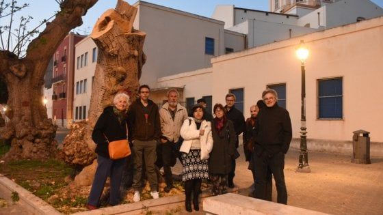 Trapani: il Comune vuole abbattere gli alberi secolari, i cittadini insorgono