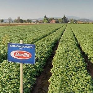 L'osteopatia entra in azienda: il nuovo welfare secondo Barilla