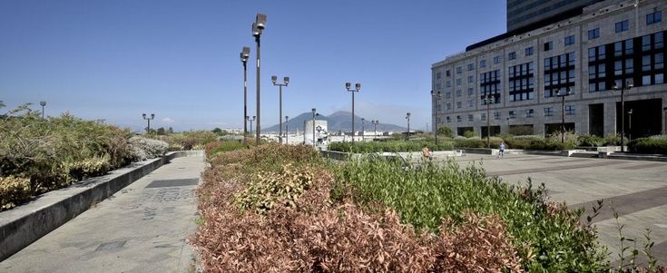 Napoli, Centro Direzionale così muore il verde di aiuole e giardini 