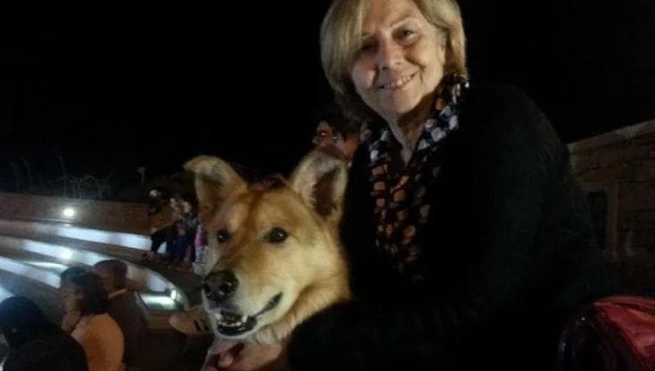 Cettina Antonino uccisa a 78 anni da un’auto pirata, addio alla prof editrice che animava Bisceglie