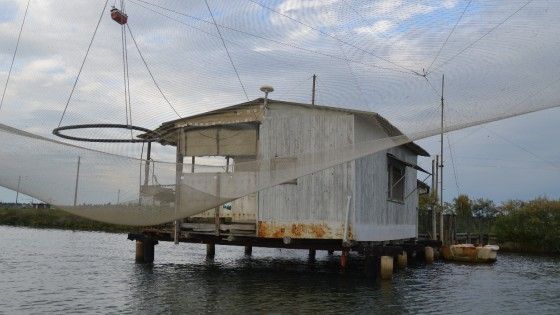 Ravenna, insorge il popolo delle palafitte abusive: "Il Comune non pu&ograve; cancellare le nostre radici"