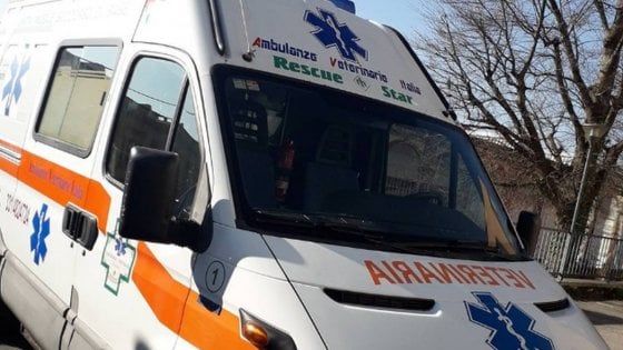 A Varese il '118' per gli animali domestici: arriva la prima ambulanza veterinaria attiva giorno e notte