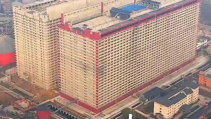 Nel Pig Palace da 26 piani dove la Cina disegna il futuro dell’allevamento dei maiali. Che fa paura