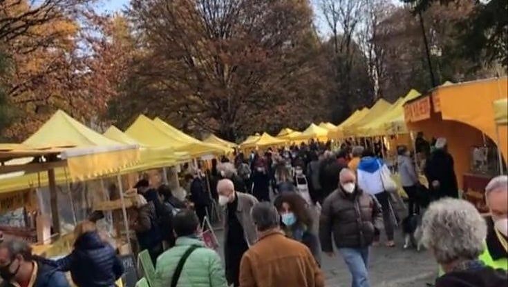 Torino, il lockdown non ferma il mercatino di piazza Cavour. Polemica sui social