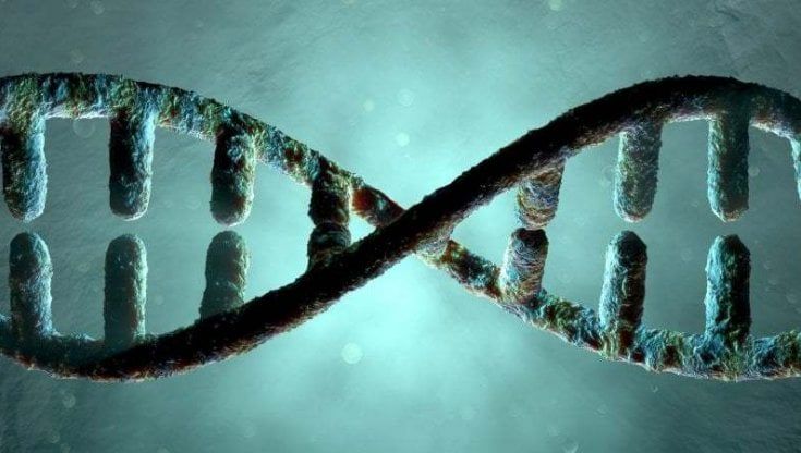 Scoperto un gene responsabile dell'autismo