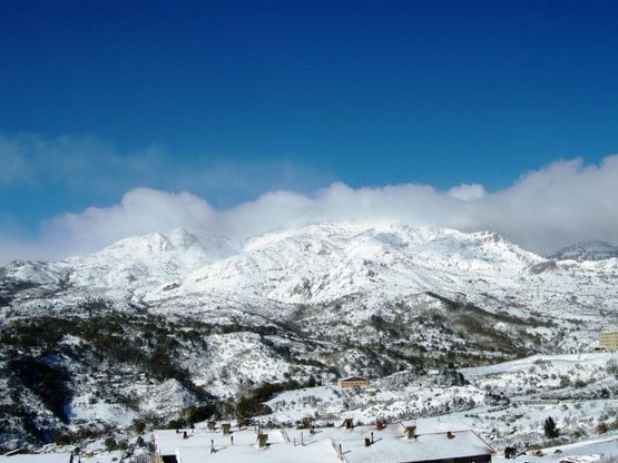 La neve in Sicilia, le foto dei lettori / 4