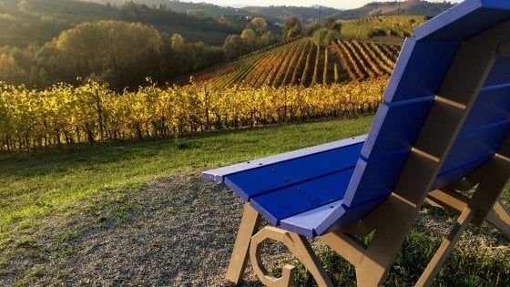 Autunno all’insegna della rinascita in Piemonte, tra “Artissima" in edizione online, cultura, natura e tanta enogastronomia