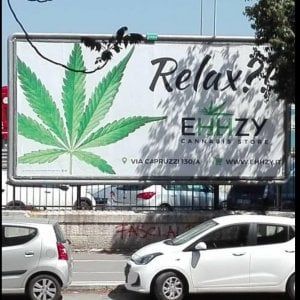 Bari, davanti al liceo spunta il 6x3 della cannabis light. La prof: "Legale ma poco opportuno"