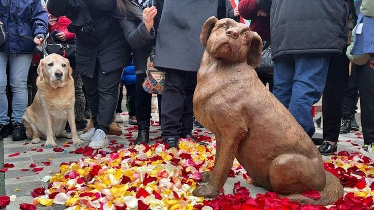 Pet therapy, una statua a Livorno per ricordare l’altruismo della cagnolina Kyra