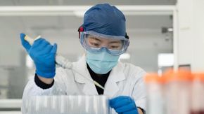 Virus Shamonda: confermato primo contagio umano, un morto a Lione