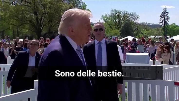 Reporter: "Colpire infrastrutture in Iran non è crimine di guerra?". Trump: "No, loro sono animali"