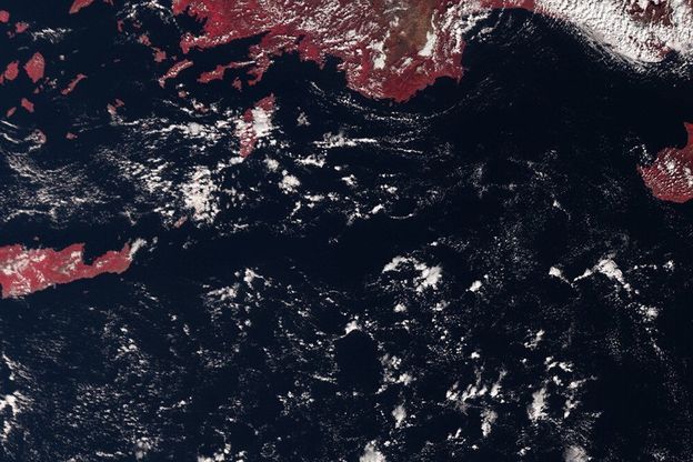 Il Nilo si tinge di rosso, l'effetto della vegetazione dal satellite