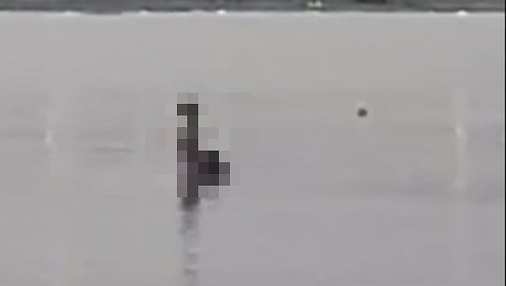 Porto Cesareo, coppia fa sesso in pubblico e il video diventa virale. Proteste e polemiche: "Turismo maleducato"