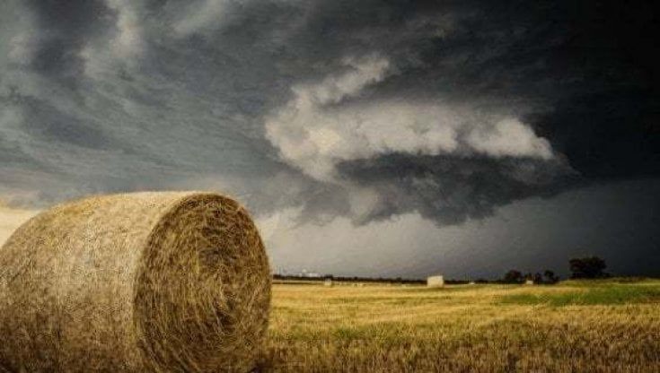 Meteo, allerta in Puglia per temporali e raffiche di vento: "Prestate attenzione"