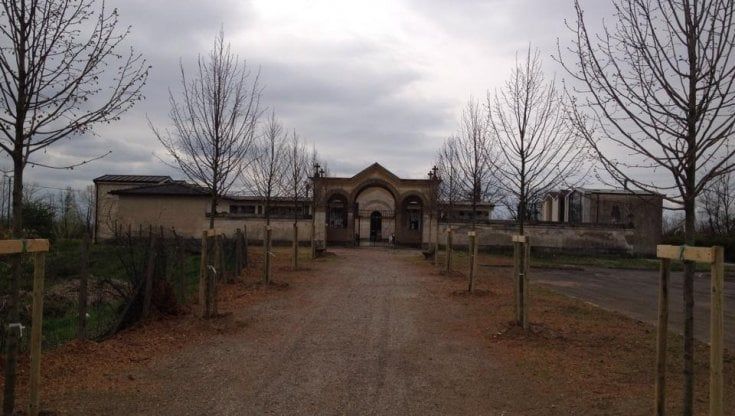 Mancano i vigili, a Castelverde la sindaca vieta i cortei funebri: "Lo faccio per la sicurezza dei partecipanti"