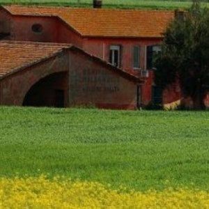 Roma, Raggi: "A Castel di Guido e Tenuta del Cavaliere stop agli allevamenti intensivi di animali"