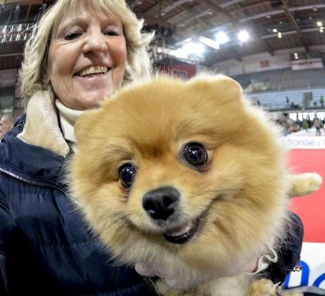 Rimini, 1500 cani si sfidano in passerella: quale sarà il più bello?