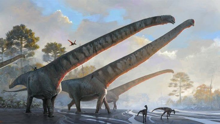 Un collo lungo 15 metri: i dinosauri dei record