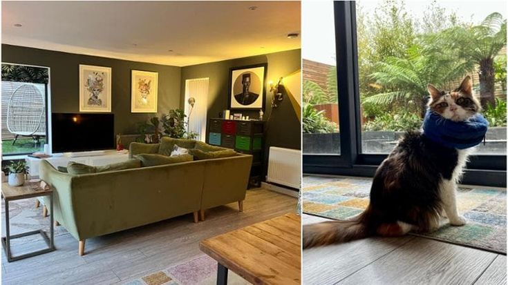 Vacanze da pet sitter: alloggi gratis nelle città del mondo se ti prendi cura dell’animale di casa