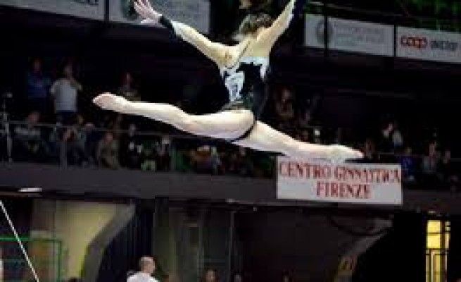 Campionati italiani ginnastica al Mandela&rlm;