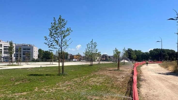Piano d’irrigazione straordinaria: l’acqua dei pompieri per gli alberi piantati per il Giubileo