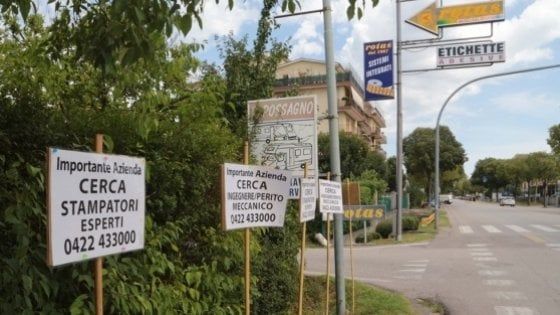 Non trova dipendenti per la sua impresa, tappezza la strada di cartelli: "Cerco lavoratori"
