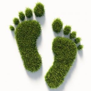 Fare utili migliorando l'habitat ora lo slogan è diventato strategia