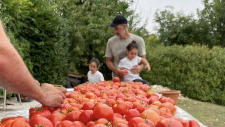 Raoul Bova nella sua masseria in Valle d'Itria raccoglie pomodori. Ma i pugliesi avvertono: "Non sono buoni per la salsa"
