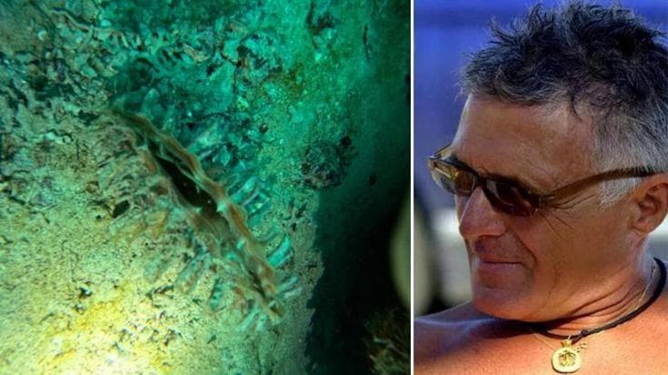 La cozza pinna torna nel Salento, un esemplare di pinna nobilis a Porto Cesareo: “Commovente”