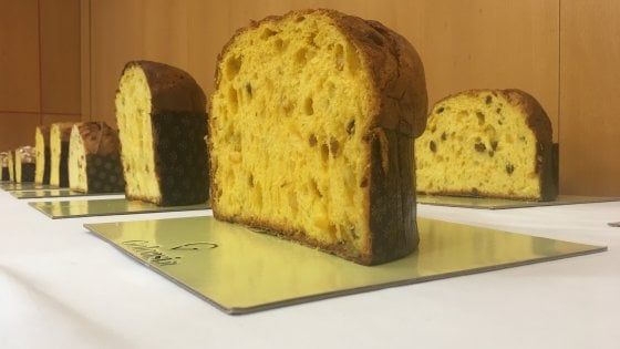 Il miglior panettone artigianale d'Italia è made in Puglia: la pasticceria di Foggia sbaraglia la concorrenza del Nord