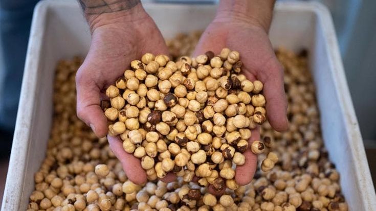 Boom di nocciole, oro e dolci: export record per il Piemonte