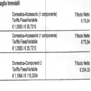 Tassa sui rifiuti, ecco una bolletta gonfiata: occhio al "Dettaglio immobili"